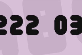 222 03 Font