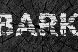 BARK Font