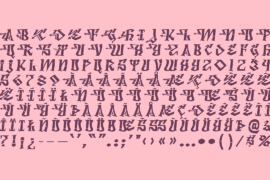 Image 4