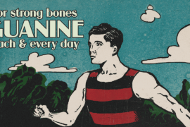 Guanine Font