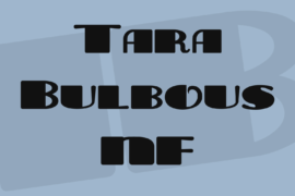 Tara Bulbous NF Font