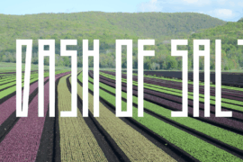 A Dash of Salt Font