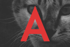 ADAM.CG PRO Font