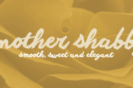 Another shabby Font Family