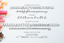 Image 10