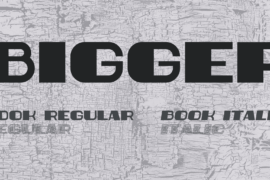 Bigger Font Family