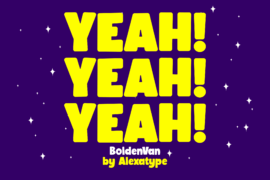 BoldenVan demo Font