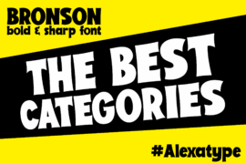 Bronson demo Font