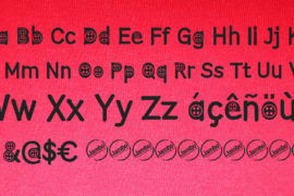 Image 2