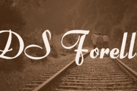 DS Forelle Font