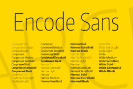 Encode Sans Font Family