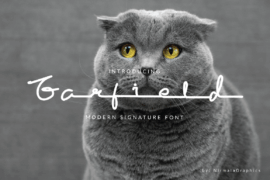Garfield Font