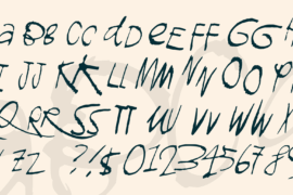 Image 4