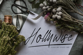 Hollywise Font Family