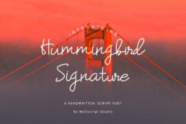 Hummingbird-Regular Font