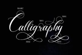 Gallery Image 7