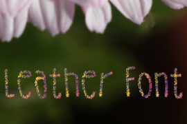 Leather Font Font