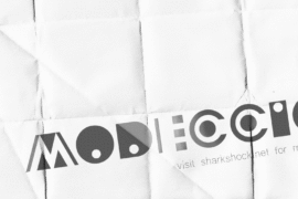 Modeccio Font