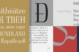 Neumann Font