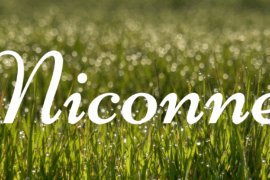 Niconne Font