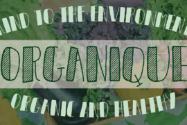 Organique DEMO Font