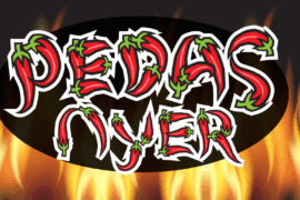 PEDASNYER Font