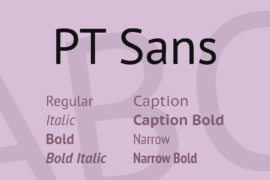 PT Sans Font Family