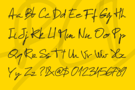 Image 4