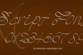 PW Script Font