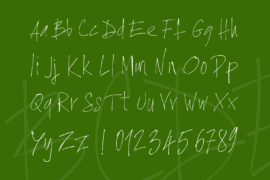 Image 3