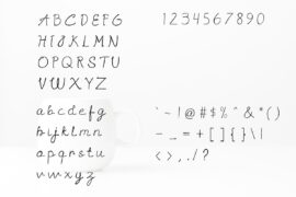 Image 7