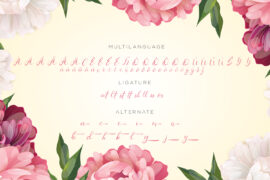 Image 10