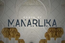 Image 5