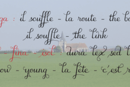 Image 2