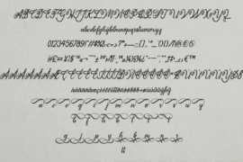 Image 8