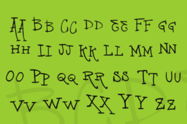 Image 3