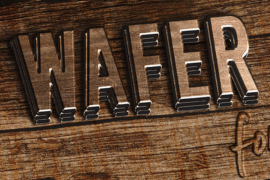 Wafer Font