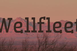 Wellfleet Font