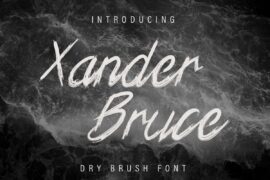 Xander Bruce Demo Font