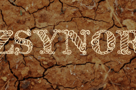 Zsynor Font