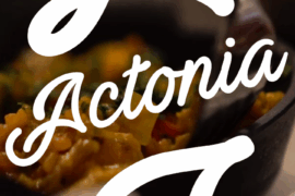 Actonia Font Family