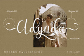 Gallery Image 2