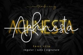 Aghnestademo Font Family