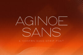 Aginoe Sans Font Family