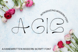 AGIS Font Family