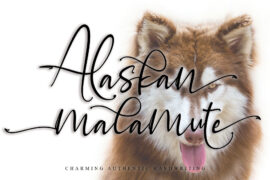 Alaskan malamute Font
