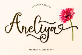 Aneliya – Personal Use Font