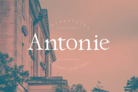 Antonie Font