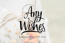 Anywishes Font