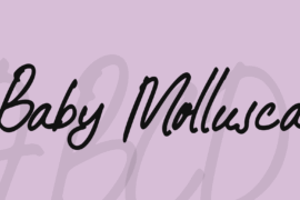 Baby Mollusca Font